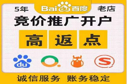 成功案例：sem竞价托管的智慧与策略